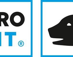 Schutzbrille Sprinter EN 166 EN 170 Bügel schwarz/grün,Scheibe klar PC PRO FIT